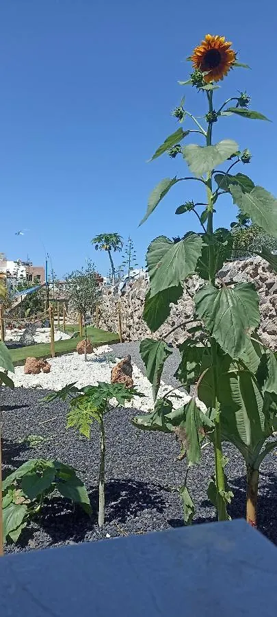 Asociacion Deportiva Tagoror Los Olivitos Hotel Costa Adeje  Campsite Costa Adeje (Tenerife)
